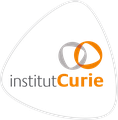 Institut Curie